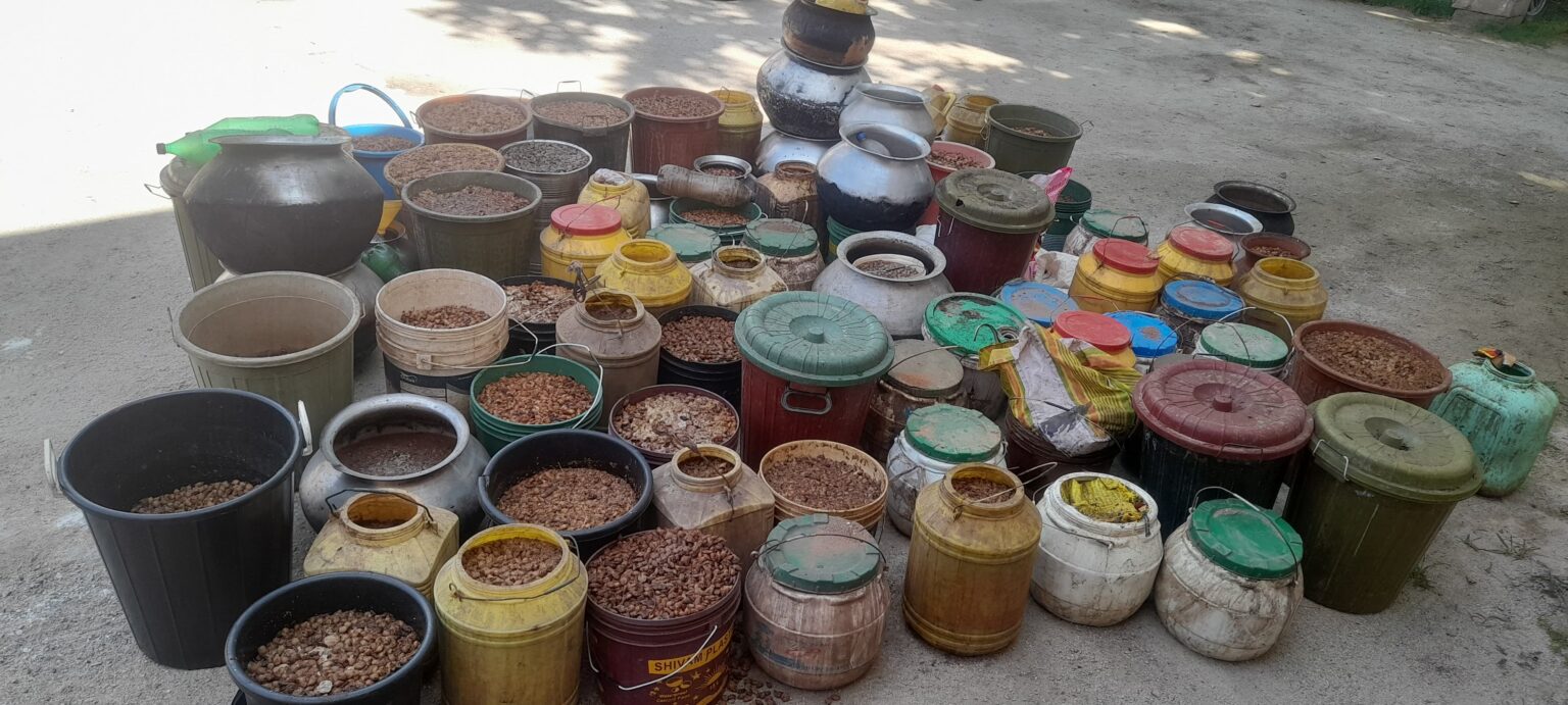 जशपुर में पुलिस की तड़के बड़ी कार्रवाई चार शराब तस्कर गिरफ्तार,150 लीटर कच्ची महुआ शराब और 1000 किलो महुआ पाश जब्त