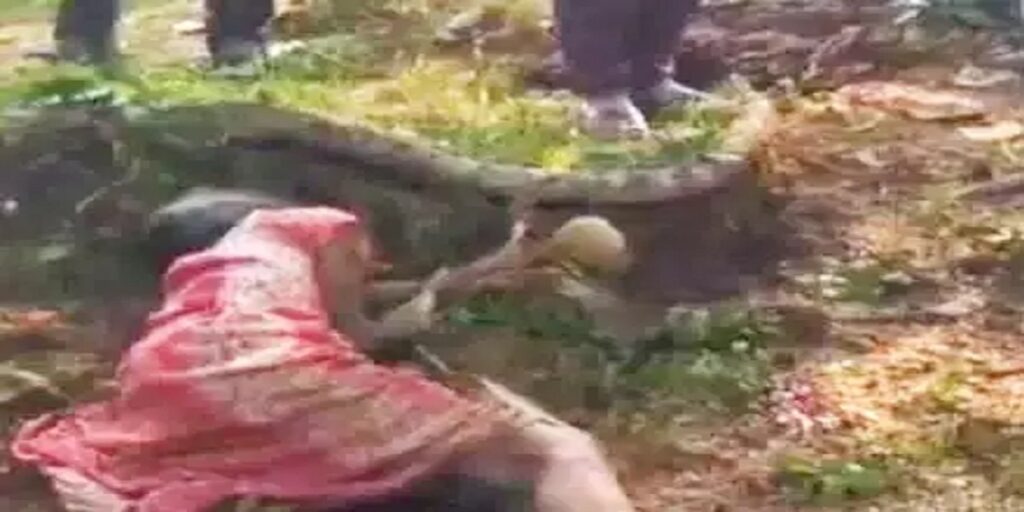 छत्तीसगढ़: मशरूम बिनने गई महिला पर हाथी का हमला, उपचार के दौरान तोड़ा दम