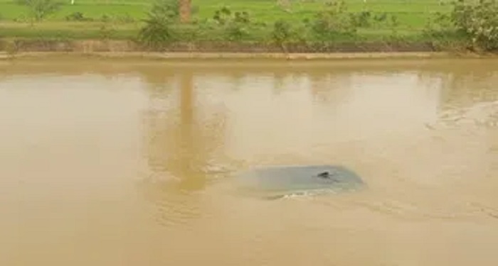 हादसा टला: नहर में गिरी श्रद्धालुओं से भरी कार, पुलिस ने सभी को सुरक्षित बाहर निकाले गए