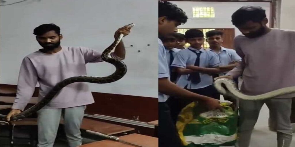 क्लासरूम में दाखिल हुआ विशालकाय अजगर, फुंकार से मचा हड़कंप, छात्रों में अफरा-तफरी