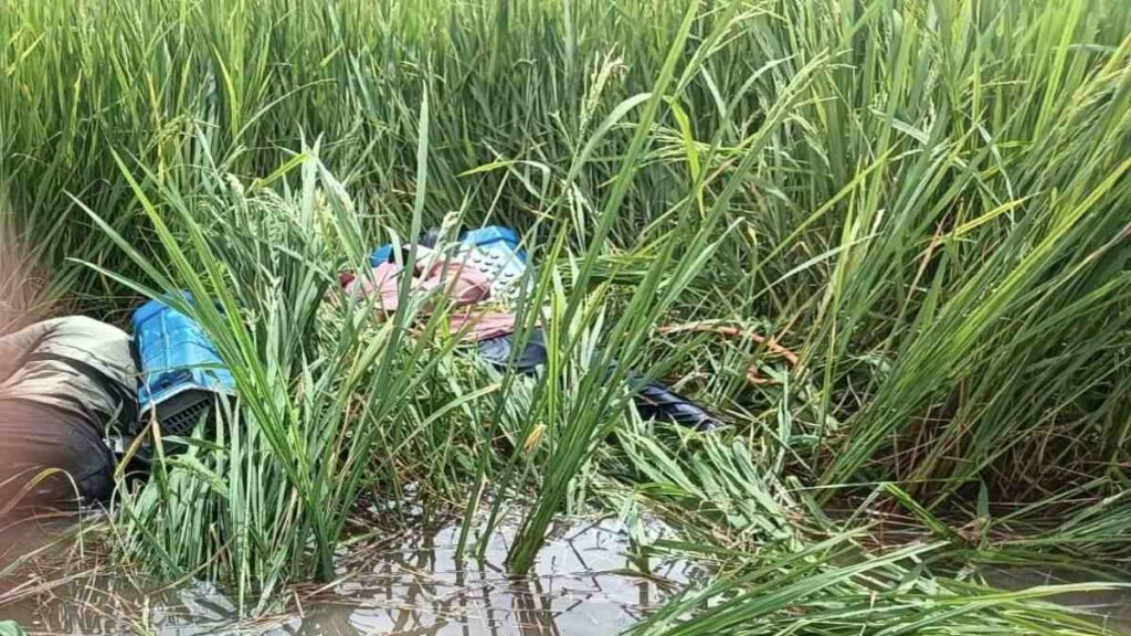 CG NEW: खेत में दवा छिड़कते समय करंट से 2 सगे भाइयों की मौत, गांव में शोक की लहर