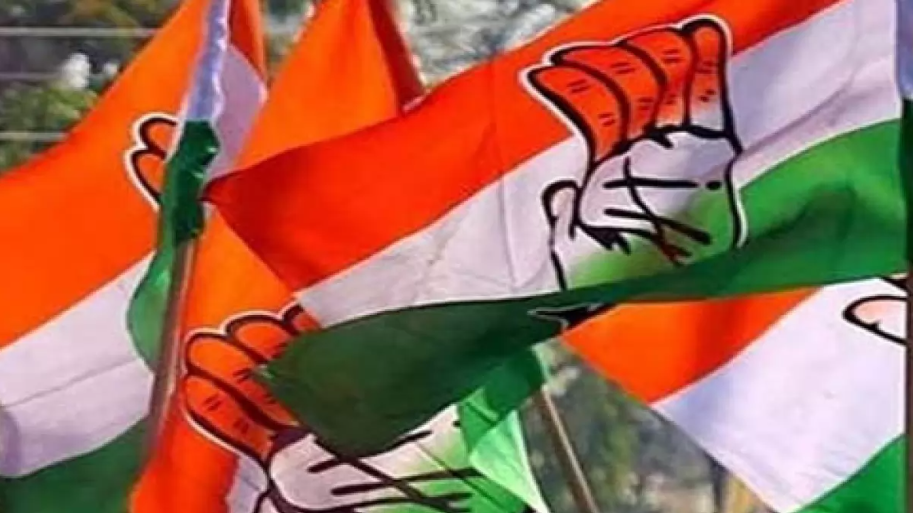 गौ-वंश तस्करी और मौत के मामलों पर कांग्रेस का हमला, आज सभी जिलों में करेगी प्रेस कॉन्फ्रेंस