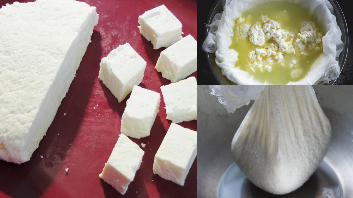 मिलावटी Paneer