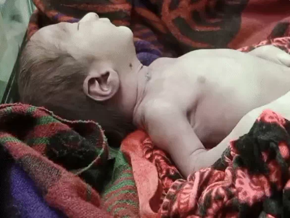 जिस गोद में मिलनी थी पहली सांस, वहीं थम गई जिंदगी, मां ने खुद कर दी बच्चे की हत्या जिस गोद में मिलनी थी पहली सांस, वहीं थम गई जिंदगी, मां ने खुद कर दी बच्चे की हत्या