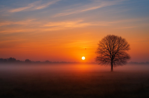 सावधान! अब पड़ेगी धुंध और ठंड की डबल मार, जानें वेदर अपडेट