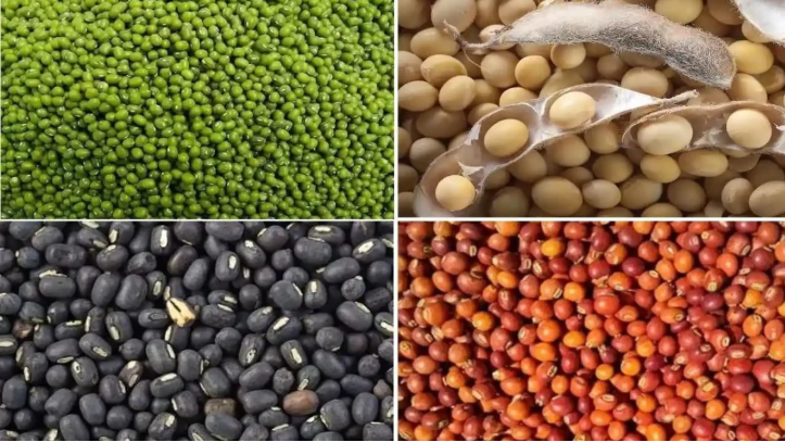 दलहन–तिलहन की MSP खरीदी के लिए तैयारियां तेज़, पीएम-आशा योजना के तहत तिथियां घोषित