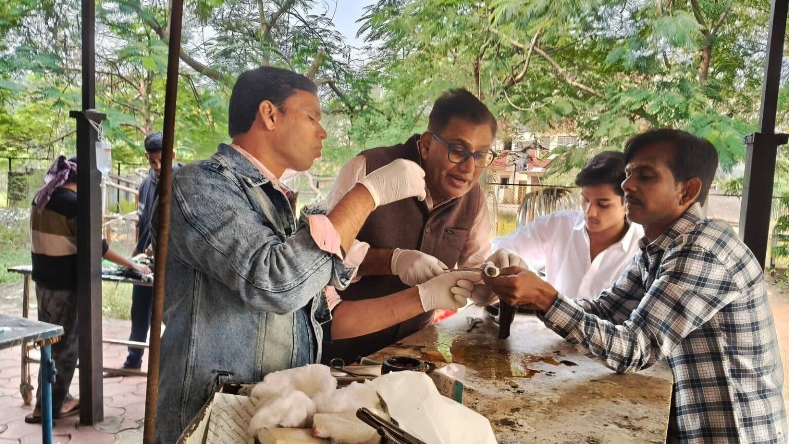 80 टाँके… और बच गई जान : घायल कोबरा की रक्षा में इंसानियत ने दिखाई नई मिसाल