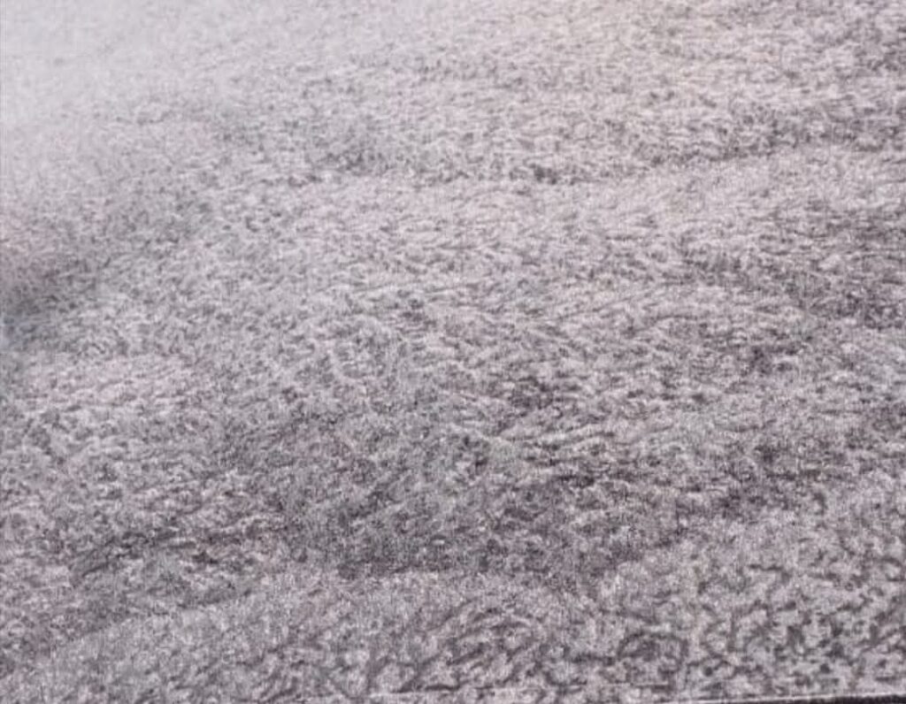 जशपुर में रिकॉर्ड तोड़ ठंड, शीतलहर का कहर, खेतों में जमी बर्फ, मैनपाट और समरी में भी कड़ाके की ठण्ड