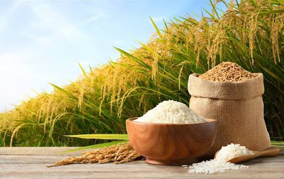 भारत बना दुनिया का सबसे बड़ा चावल उत्पादक देश, चीन को छोड़ा पीछे