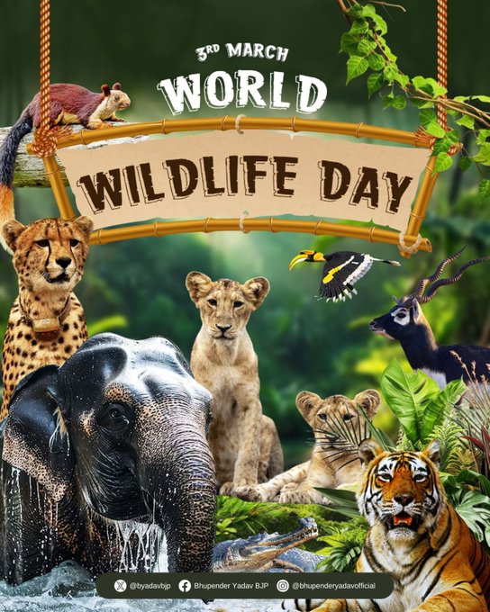 विश्व वन्यजीव दिवस 2026: जैव विविधता और पारिस्थितिक संतुलन के संरक्षण का संकल्प