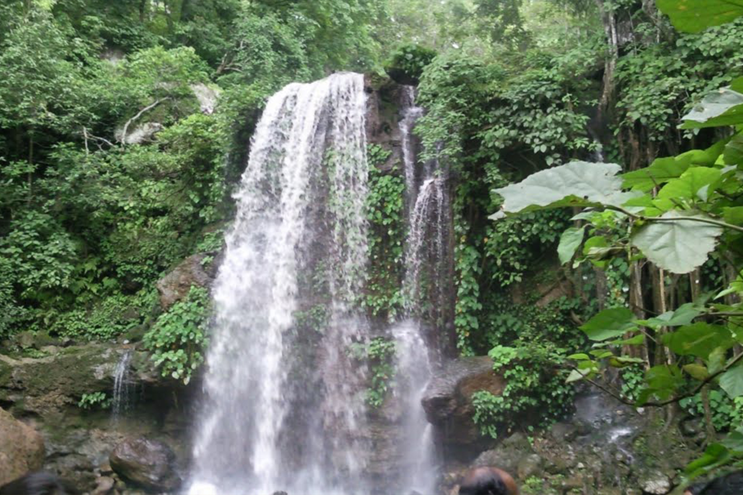 Chhattisgarh Monsoon In Jashpur