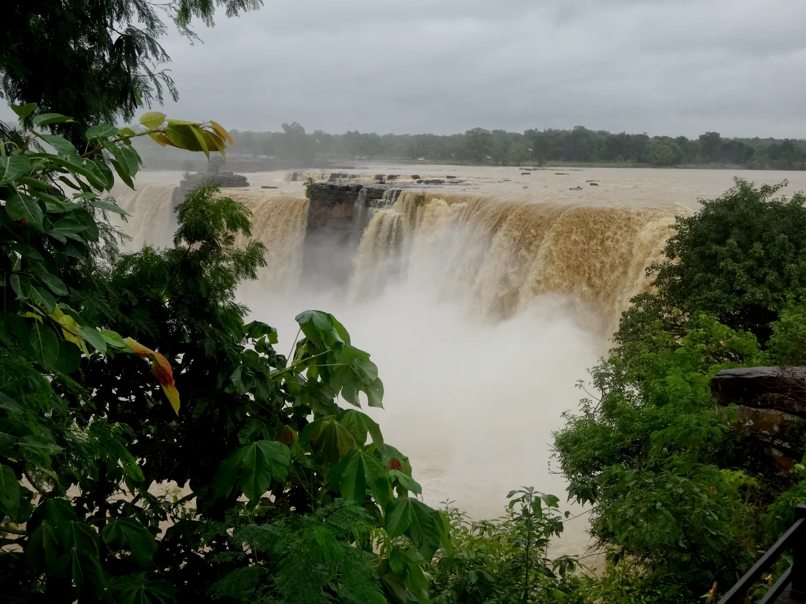 Chhattisgarh Monsoon In Bastar