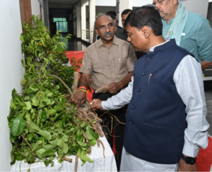 कभी जो हाथ कुल्हाड़ी थामते थे, अब उगाने लगे ‘स्टीविया और अश्वगंधा’; हरेली पर मिला ₹54 लाख का ‘एडवांस गिफ्ट’