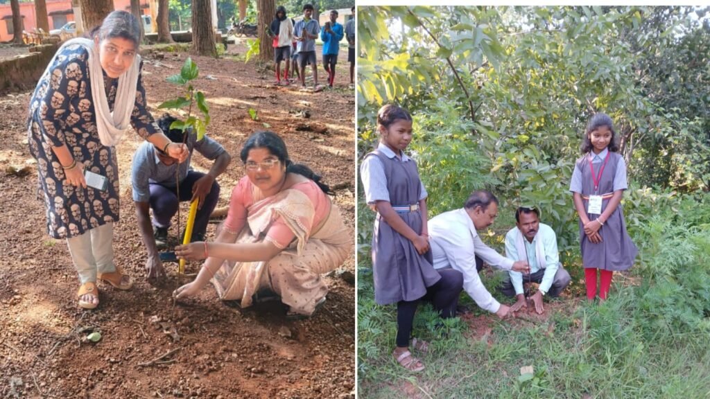 विकासखंड मनोरा में ‘सेवा संकल्प’ के तहत वृहत वृक्षारोपण एवं न्यौता भोज संपन्न
