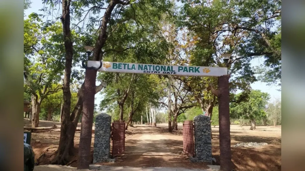 1 अक्टूबर से खुलेगा बेतला नेशनल पार्क: मानसून ब्रेक के बाद सैलानियों के स्वागत के लिए तैयार झारखंड का इकलौता टाइगर रिजर्व