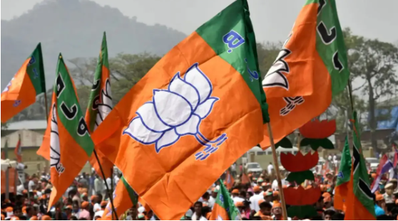 हेमंत सरकार के खिलाफ भाजपा का बड़ा ऐलान: 595 मंडलों में छेड़ेगी आंदोलन, कार्यसमिति की बैठक में राजनीतिक प्रस्ताव पारित